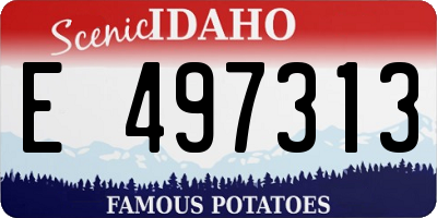 ID license plate E497313