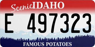 ID license plate E497323