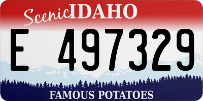 ID license plate E497329