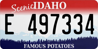 ID license plate E497334