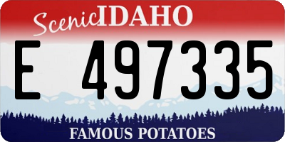 ID license plate E497335