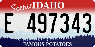 ID license plate E497343