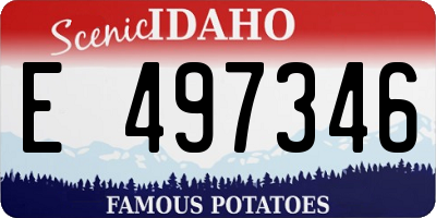 ID license plate E497346