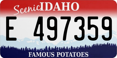 ID license plate E497359