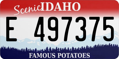 ID license plate E497375