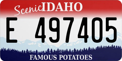 ID license plate E497405