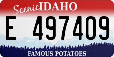 ID license plate E497409