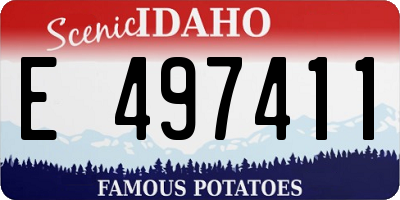 ID license plate E497411