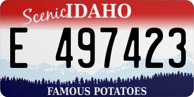 ID license plate E497423