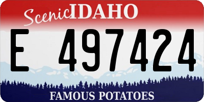ID license plate E497424