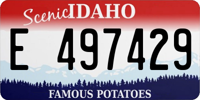 ID license plate E497429