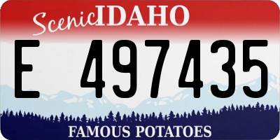 ID license plate E497435