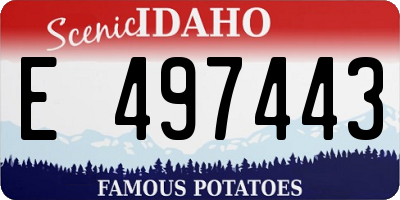 ID license plate E497443