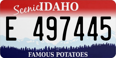 ID license plate E497445