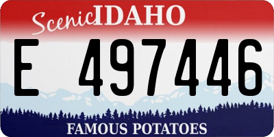 ID license plate E497446
