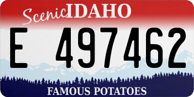 ID license plate E497462