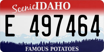 ID license plate E497464
