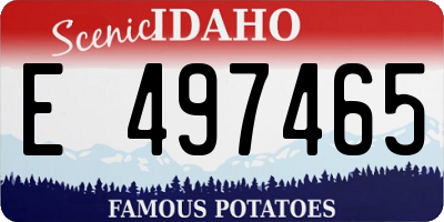 ID license plate E497465