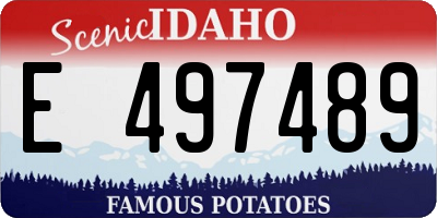 ID license plate E497489