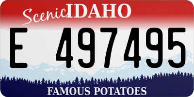 ID license plate E497495