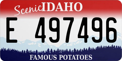 ID license plate E497496