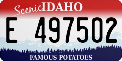 ID license plate E497502