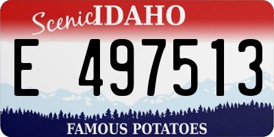 ID license plate E497513