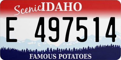 ID license plate E497514