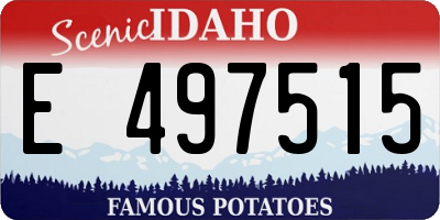 ID license plate E497515