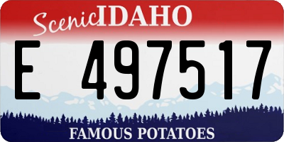 ID license plate E497517