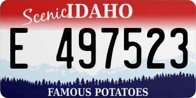ID license plate E497523