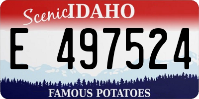 ID license plate E497524