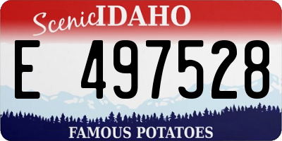 ID license plate E497528