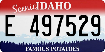 ID license plate E497529