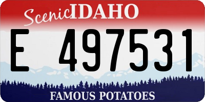 ID license plate E497531