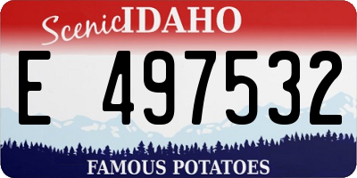 ID license plate E497532