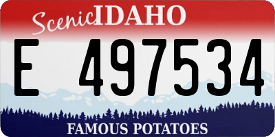 ID license plate E497534