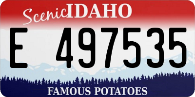 ID license plate E497535