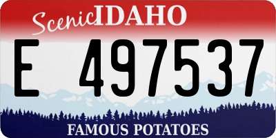 ID license plate E497537