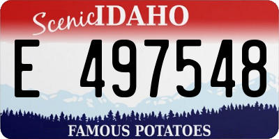 ID license plate E497548