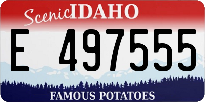 ID license plate E497555