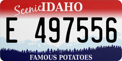 ID license plate E497556