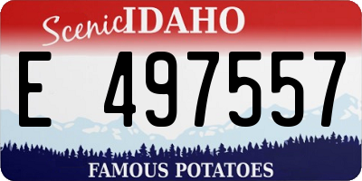 ID license plate E497557
