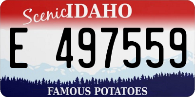 ID license plate E497559