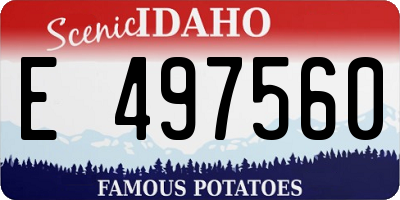 ID license plate E497560