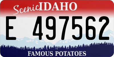 ID license plate E497562