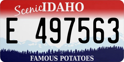 ID license plate E497563
