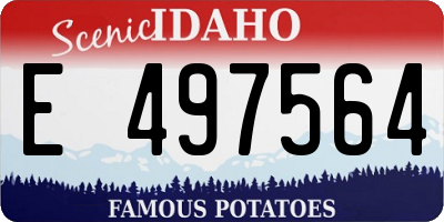 ID license plate E497564