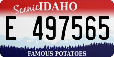 ID license plate E497565