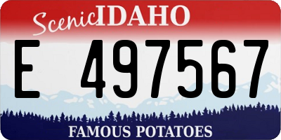 ID license plate E497567
